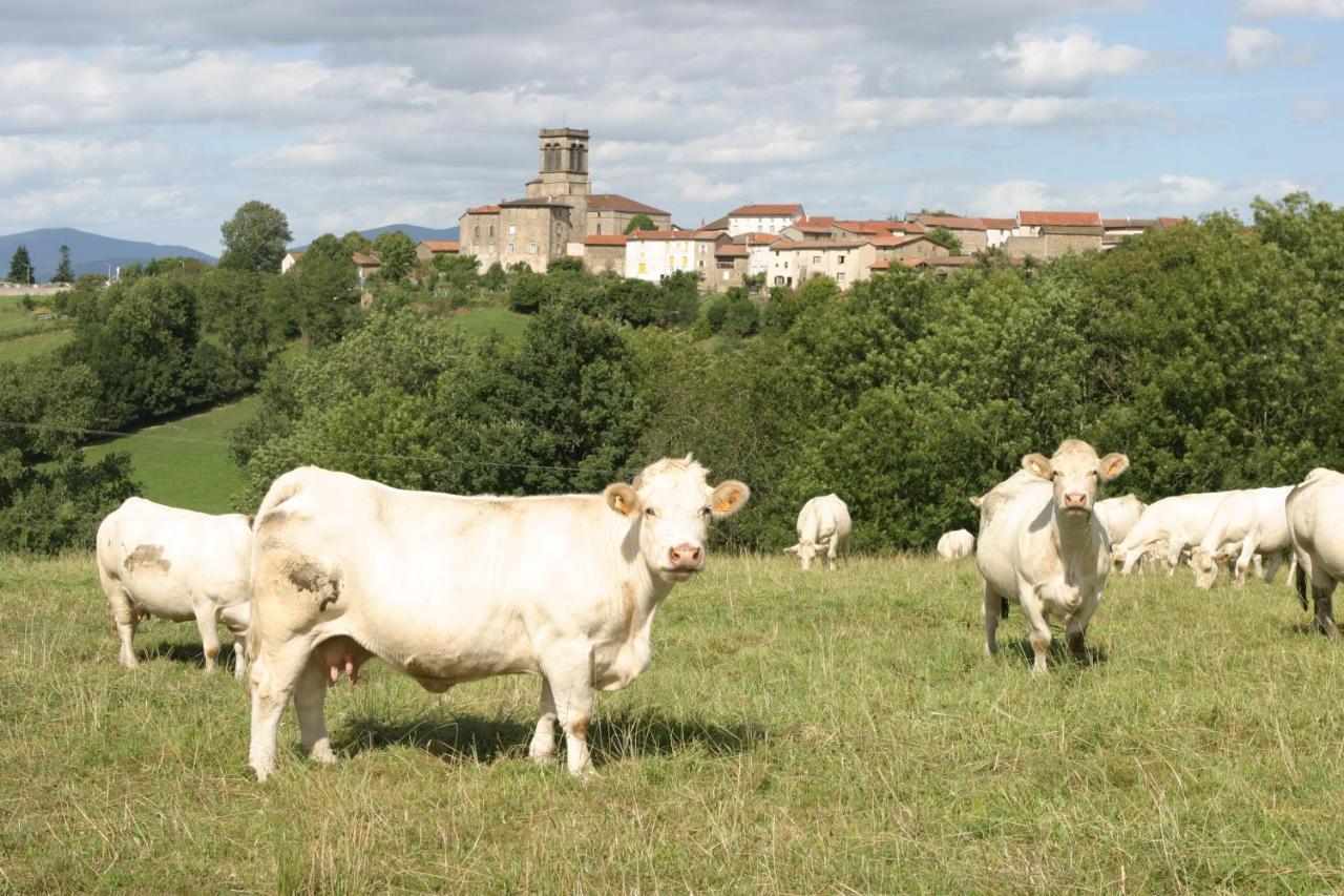 Tours-Sur-Meymont La Paresse En Douce Bed & Breakfast エクステリア 写真