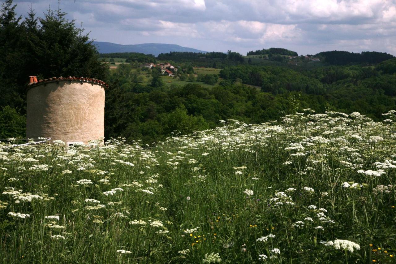 Tours-Sur-Meymont La Paresse En Douce Bed & Breakfast エクステリア 写真